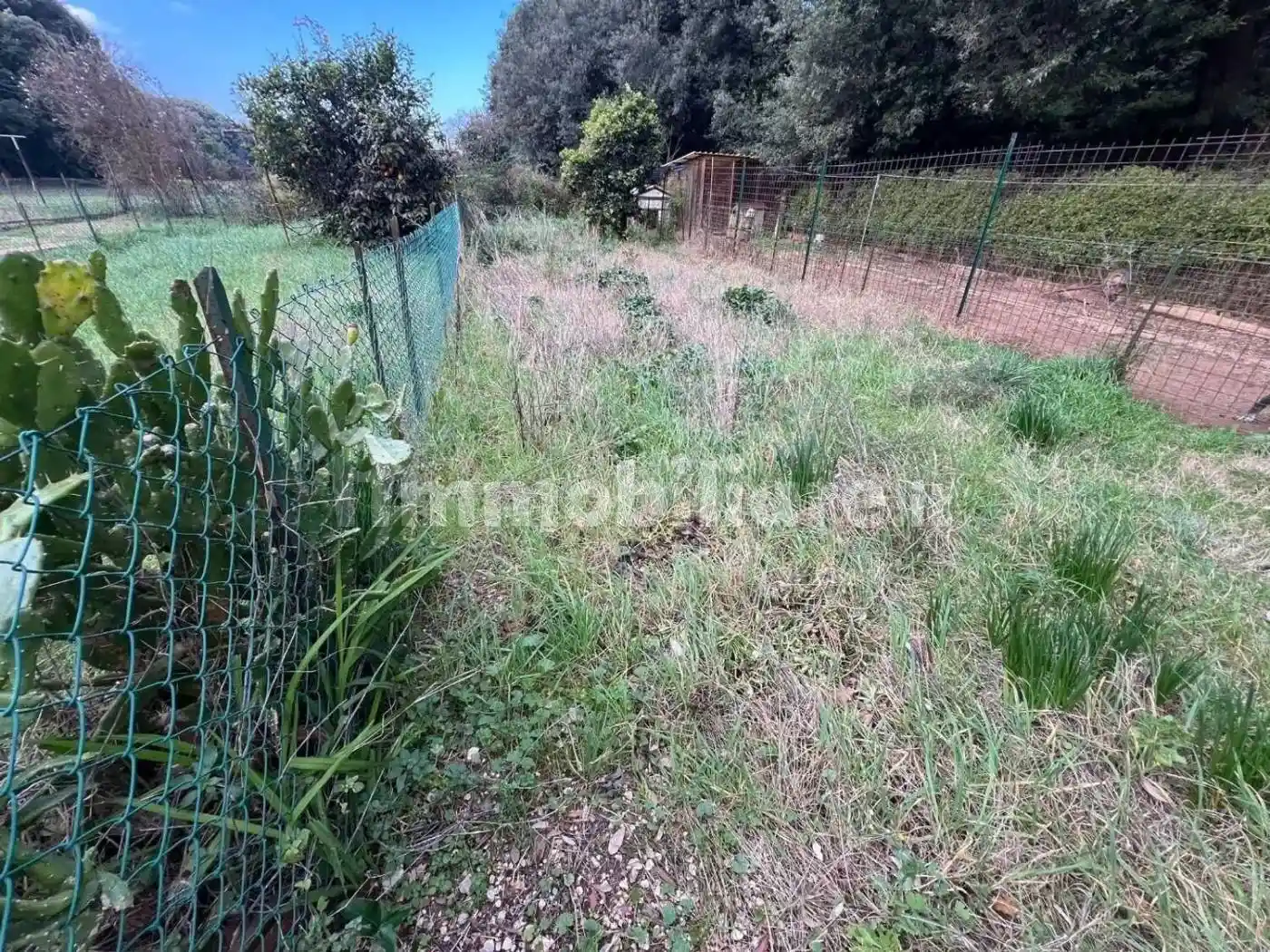 Appartamento in vendita a Bibbona