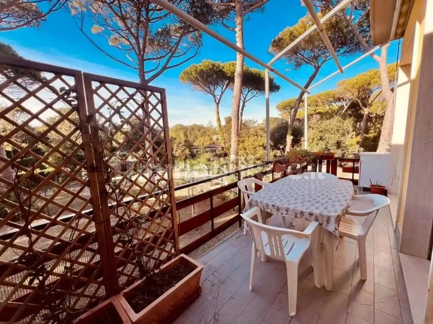 Appartamento in vendita a Bibbona