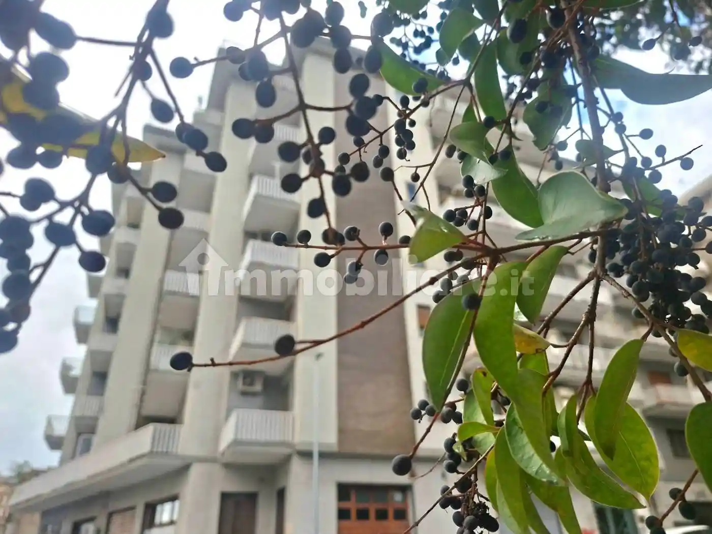 Appartamento in vendita a Salerno