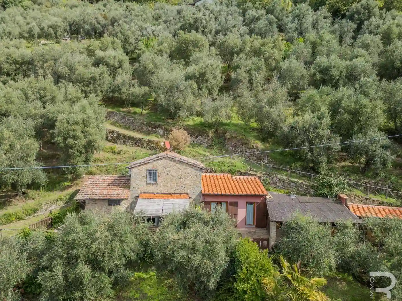 Rustico - Casale - foto 4