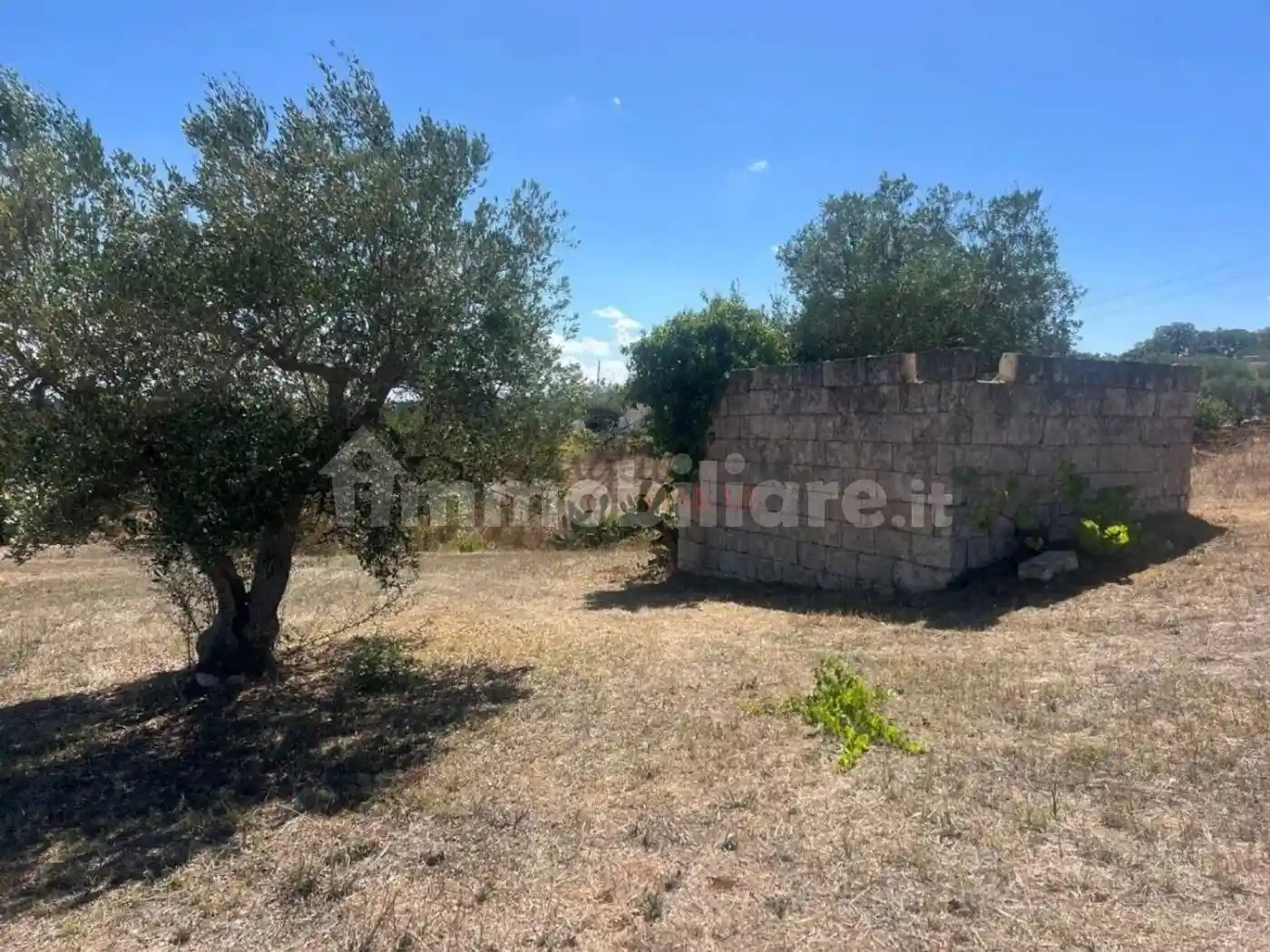 Rustico - Casale in vendita a Cisternino