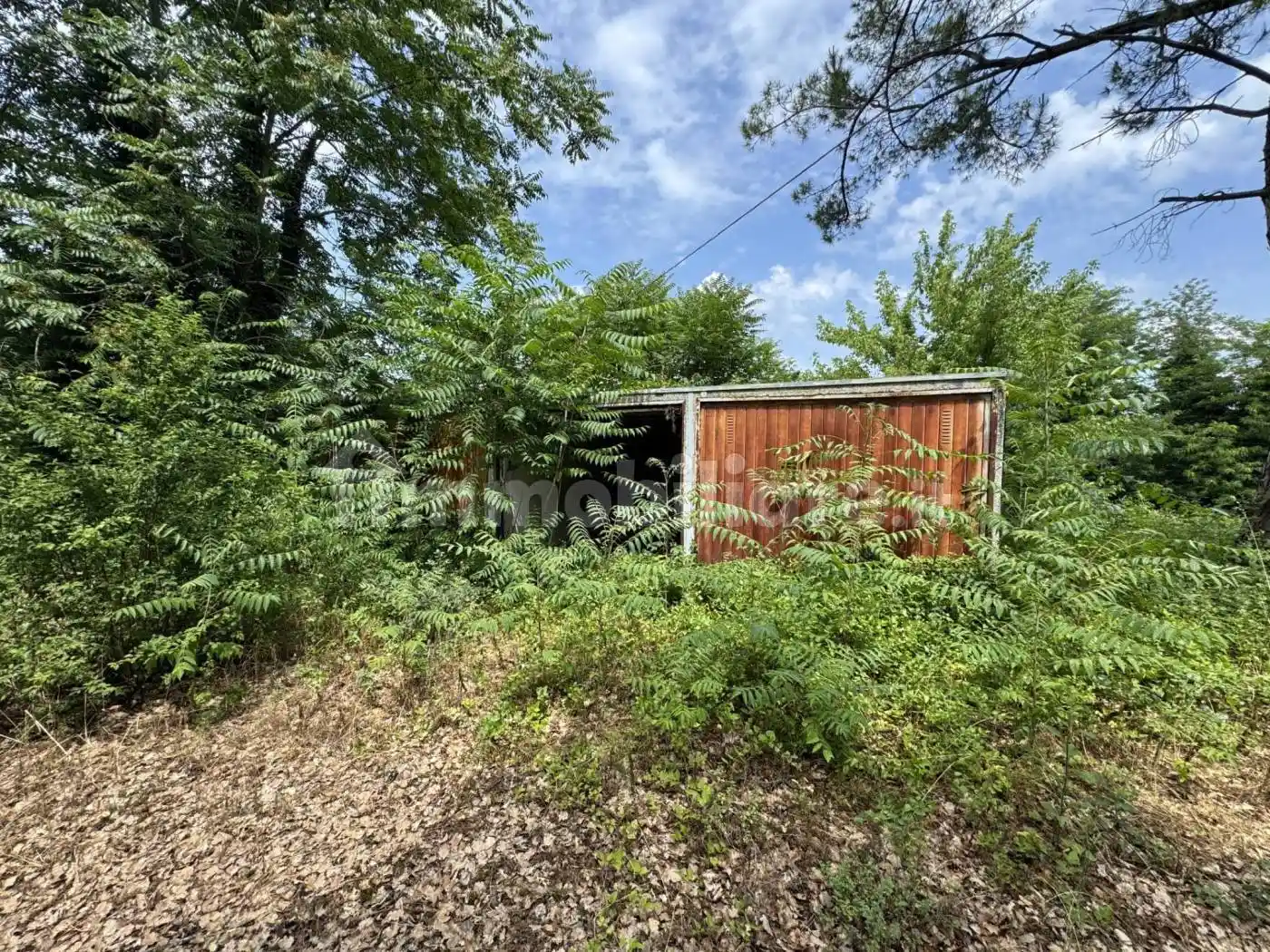 Casa indipendente in vendita a Montorio al Vomano