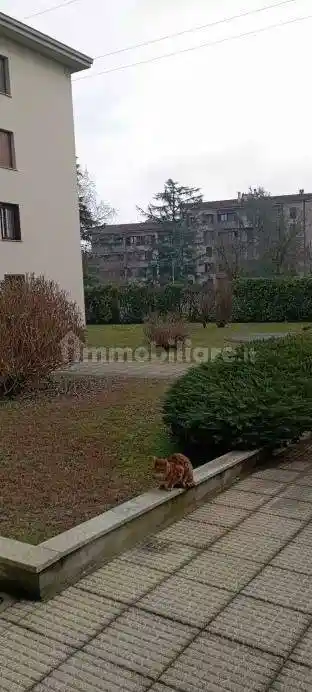 Appartamento in vendita a Brugherio