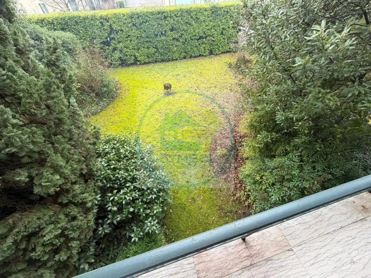 Casa indipendente in vendita a Salzano