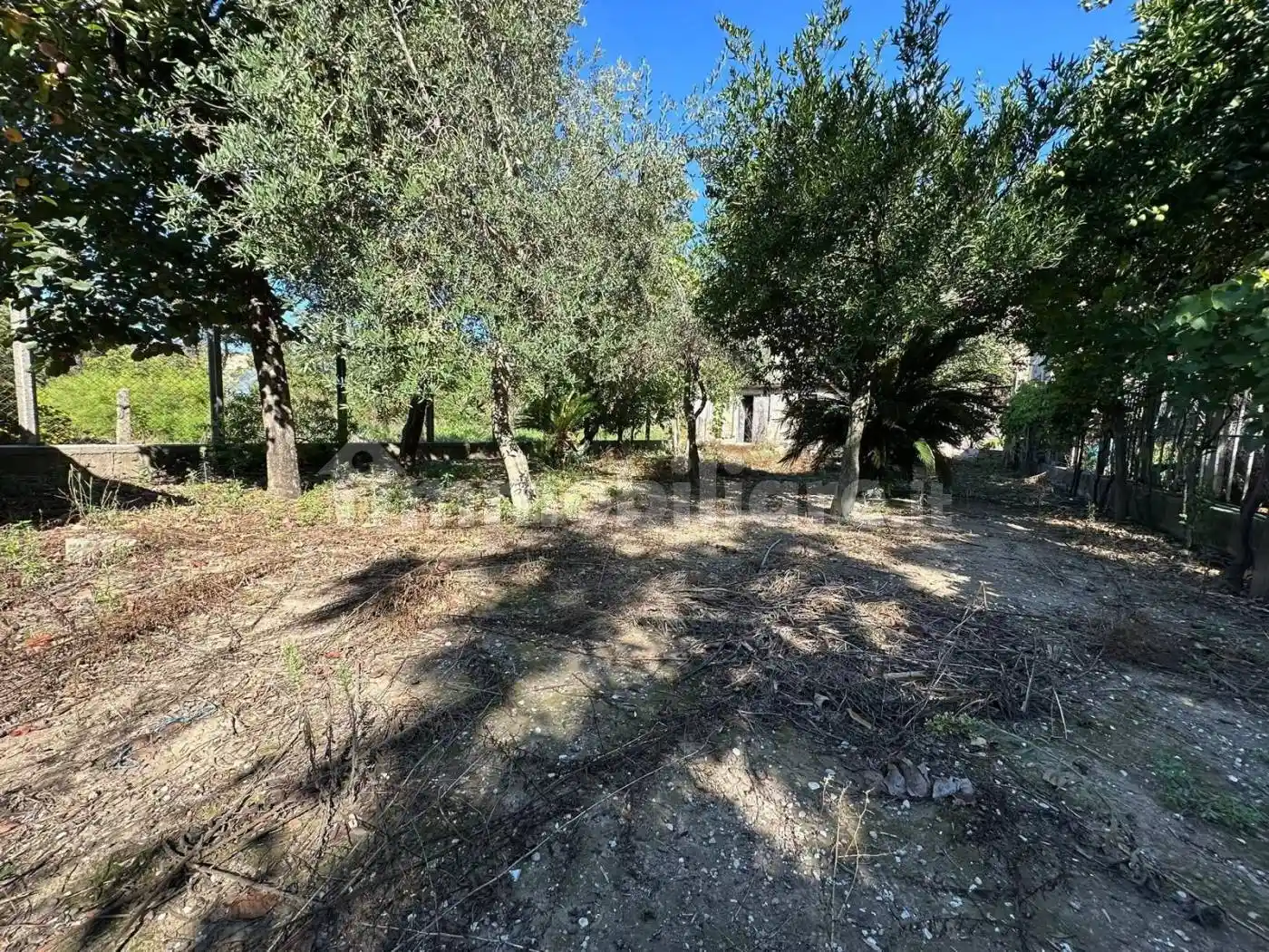 Casa indipendente in vendita a Castel San Giorgio