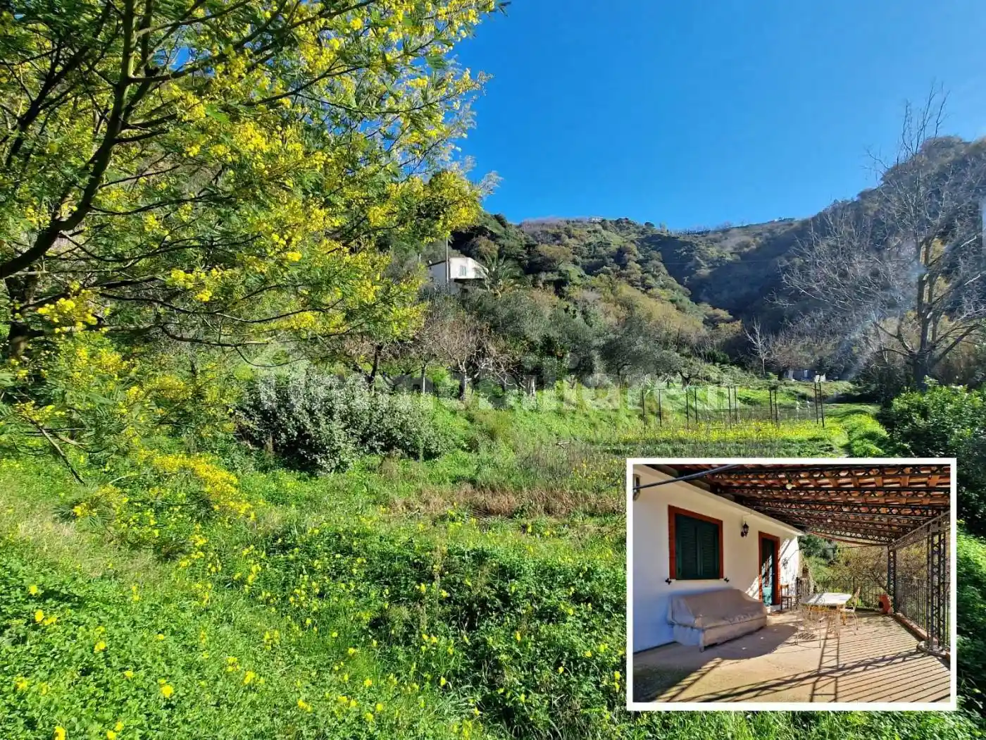 Villa in vendita a Monforte San Giorgio