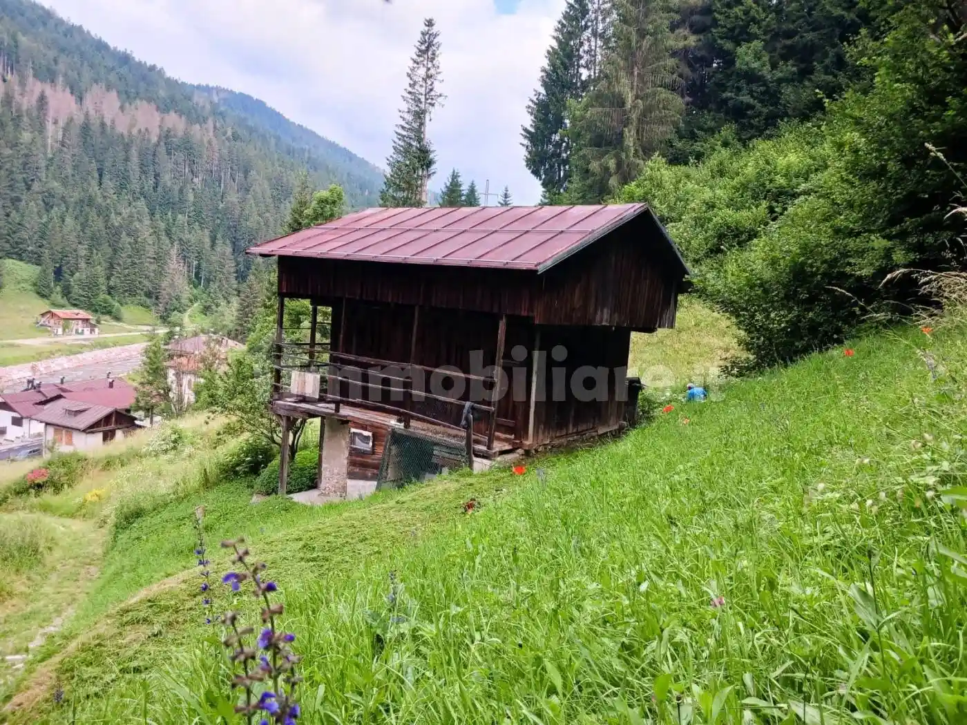 Palazzo - Edificio in vendita a Santo Stefano di Cadore
