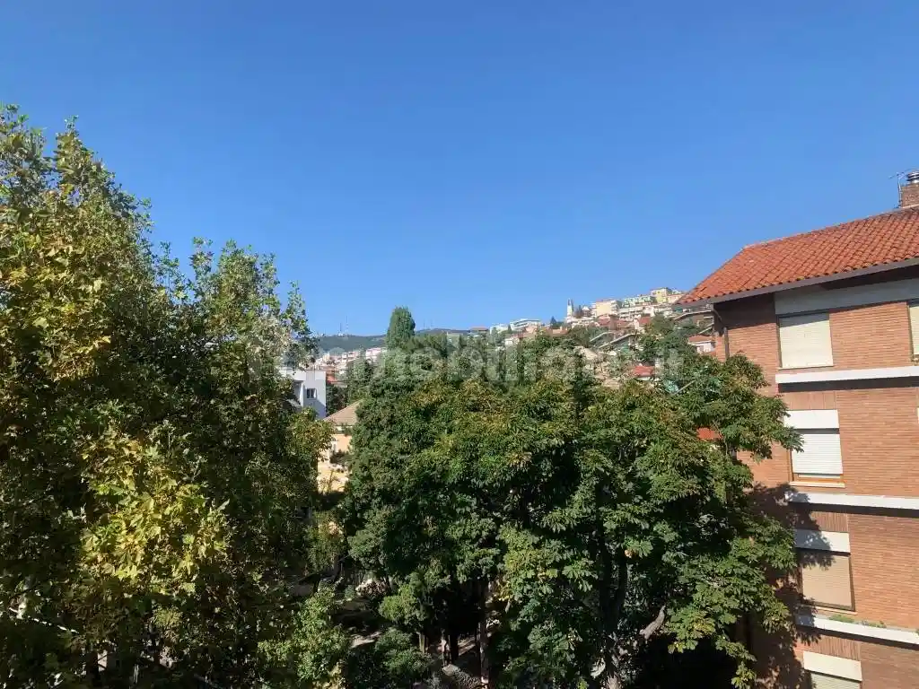 Appartamento in affitto a Trieste
