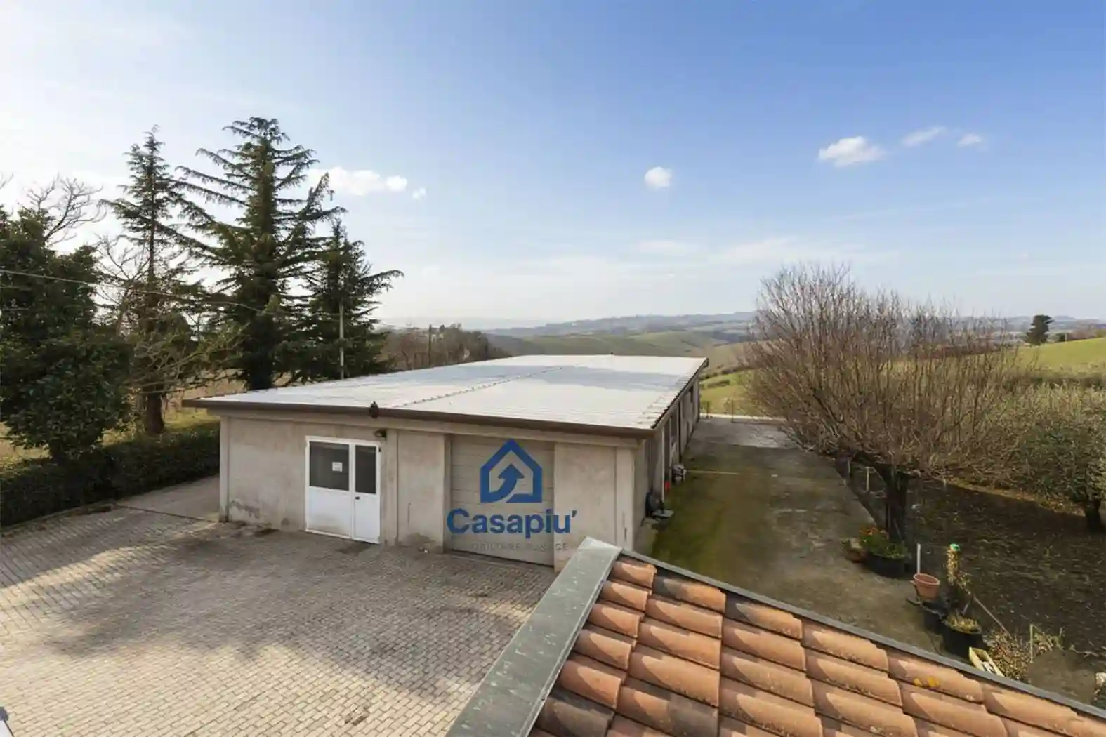 Palazzo - Edificio - foto 4