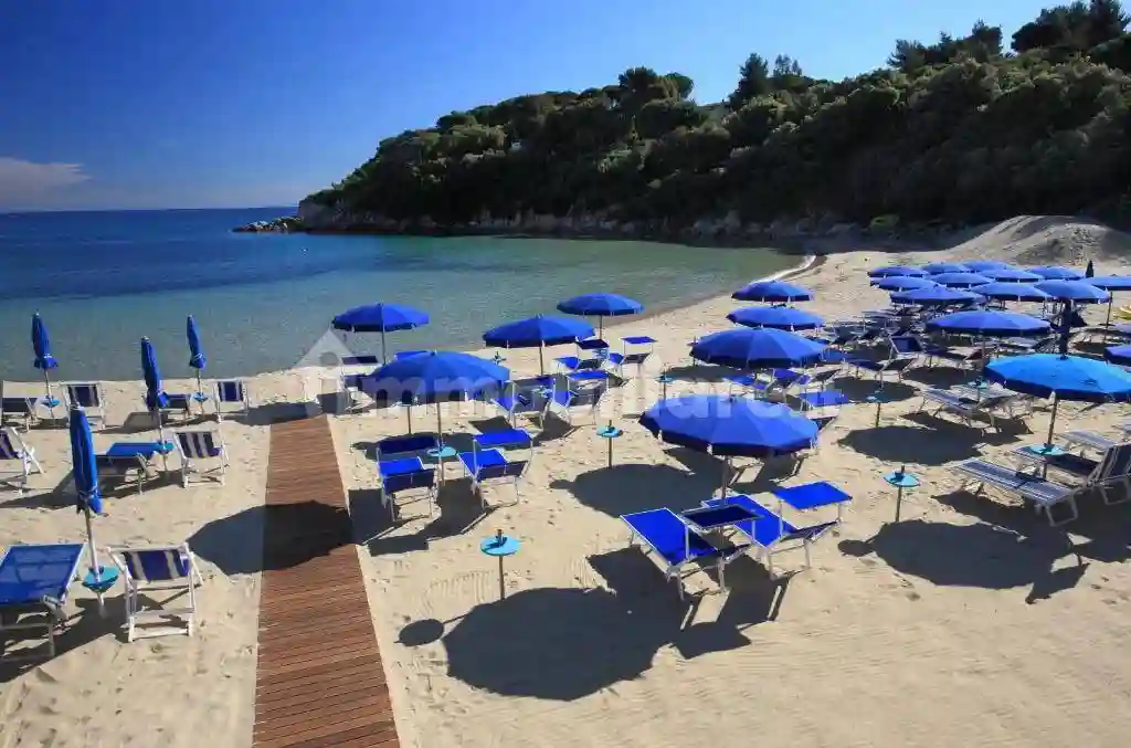 Palazzo - Edificio - foto 3