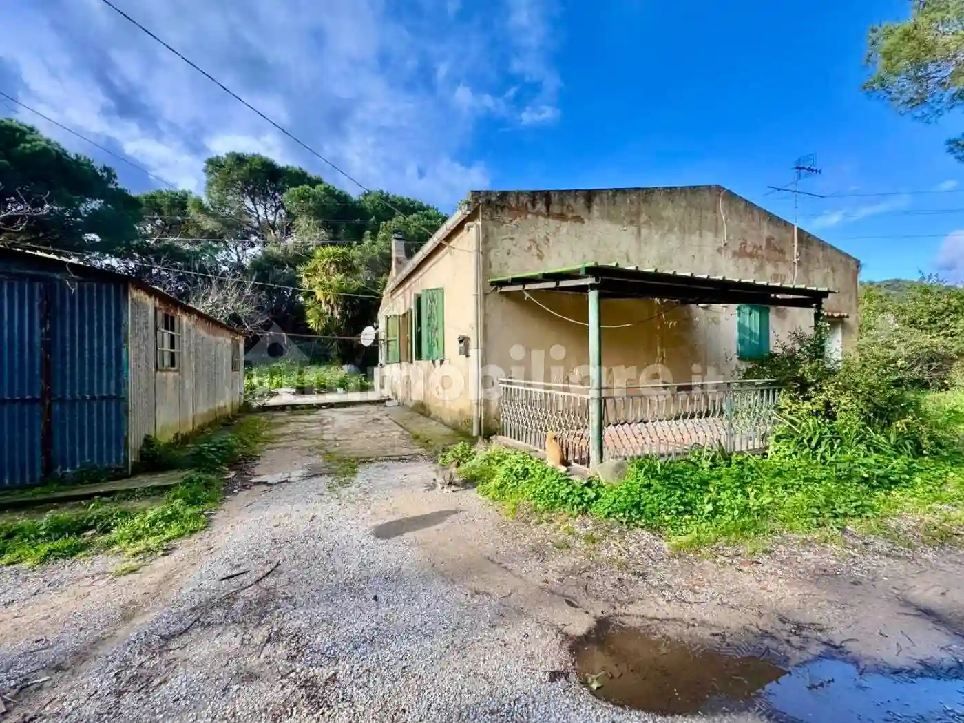 Casa indipendente - foto 4