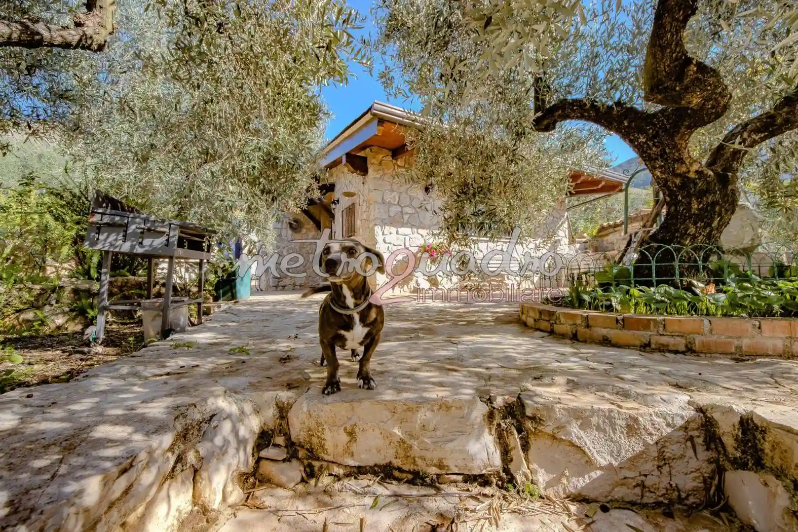 Rustico - Casale - foto 3