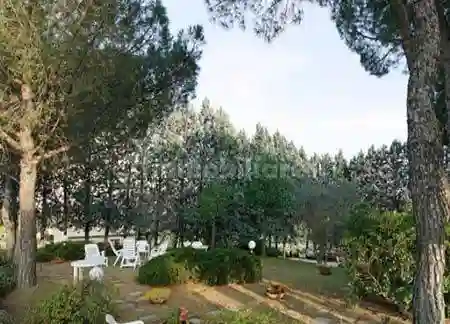 Palazzo - Edificio - foto 5