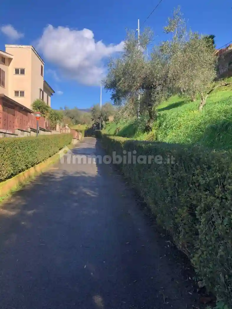 Palazzo - Stabile - foto 3