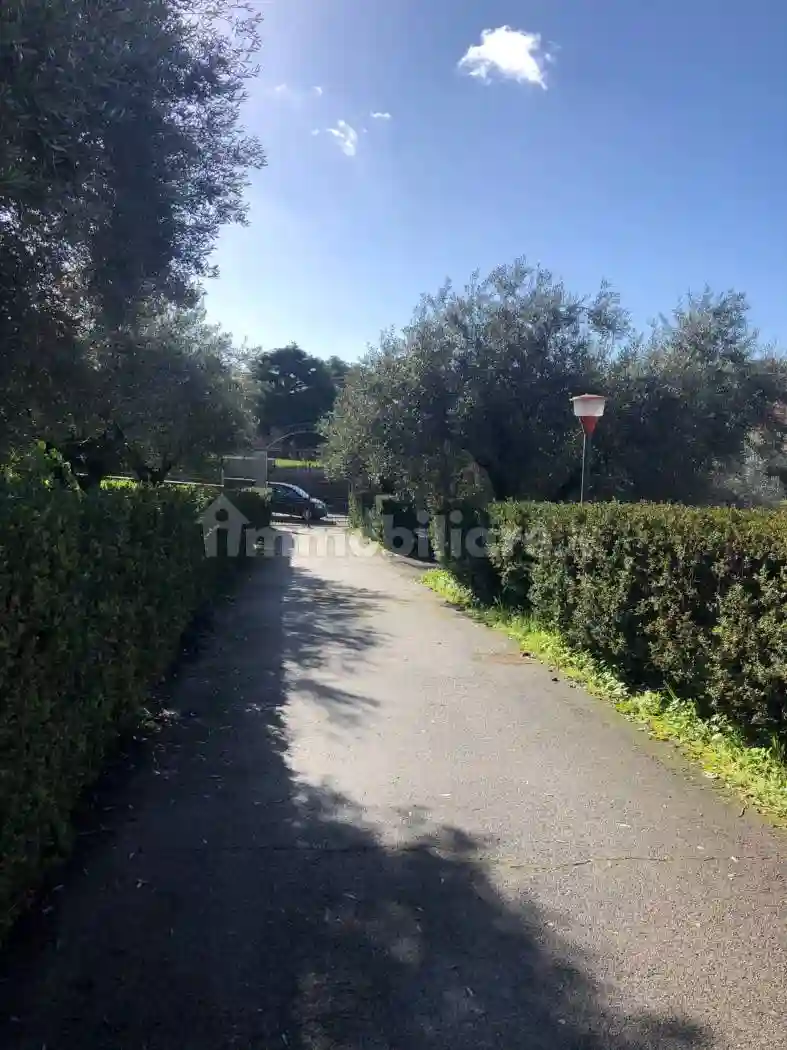 Palazzo - Stabile - foto 4