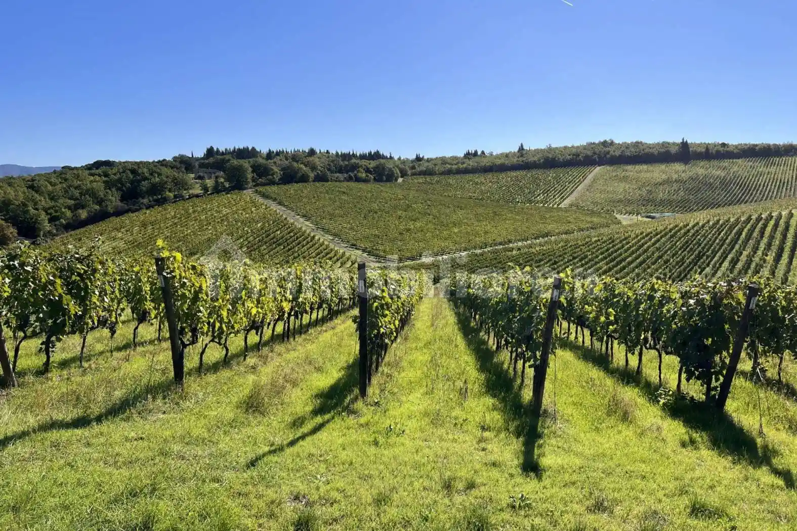 Palazzo - Edificio in vendita a Siena