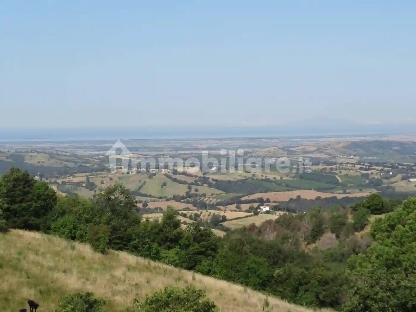 Palazzo - Edificio - foto 4