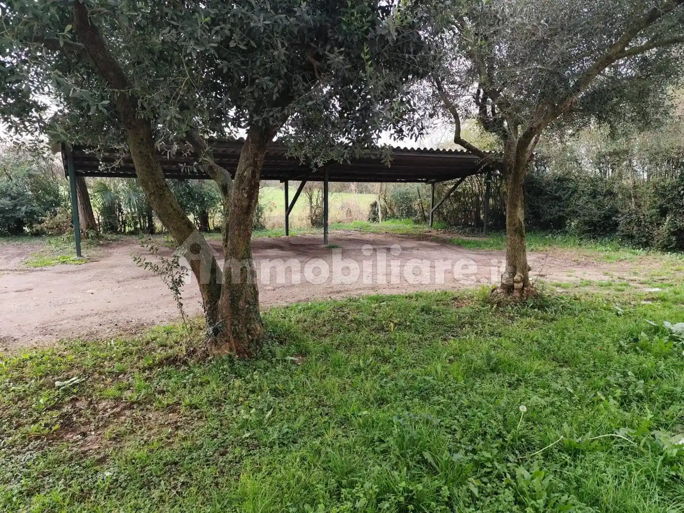 Appartamento in affitto a Grisignano di Zocco