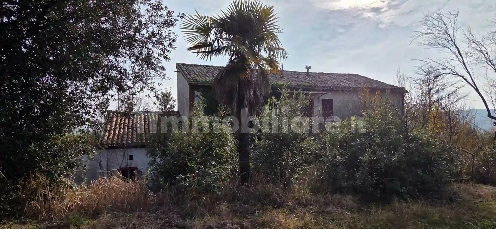 Rustico - Casale - foto 5