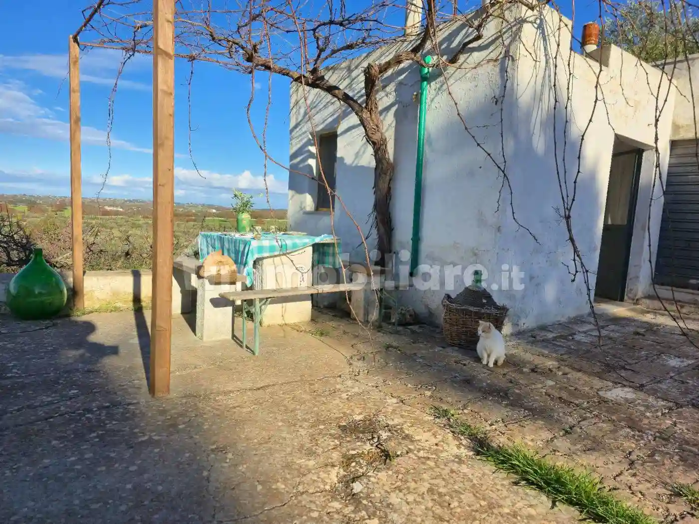 Rustico - Casale - foto 5