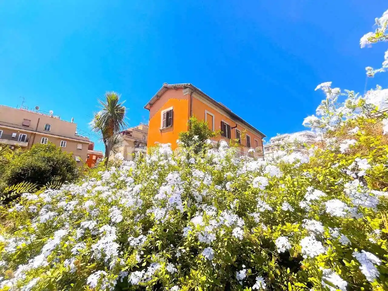 Casa indipendente in vendita a Roma
