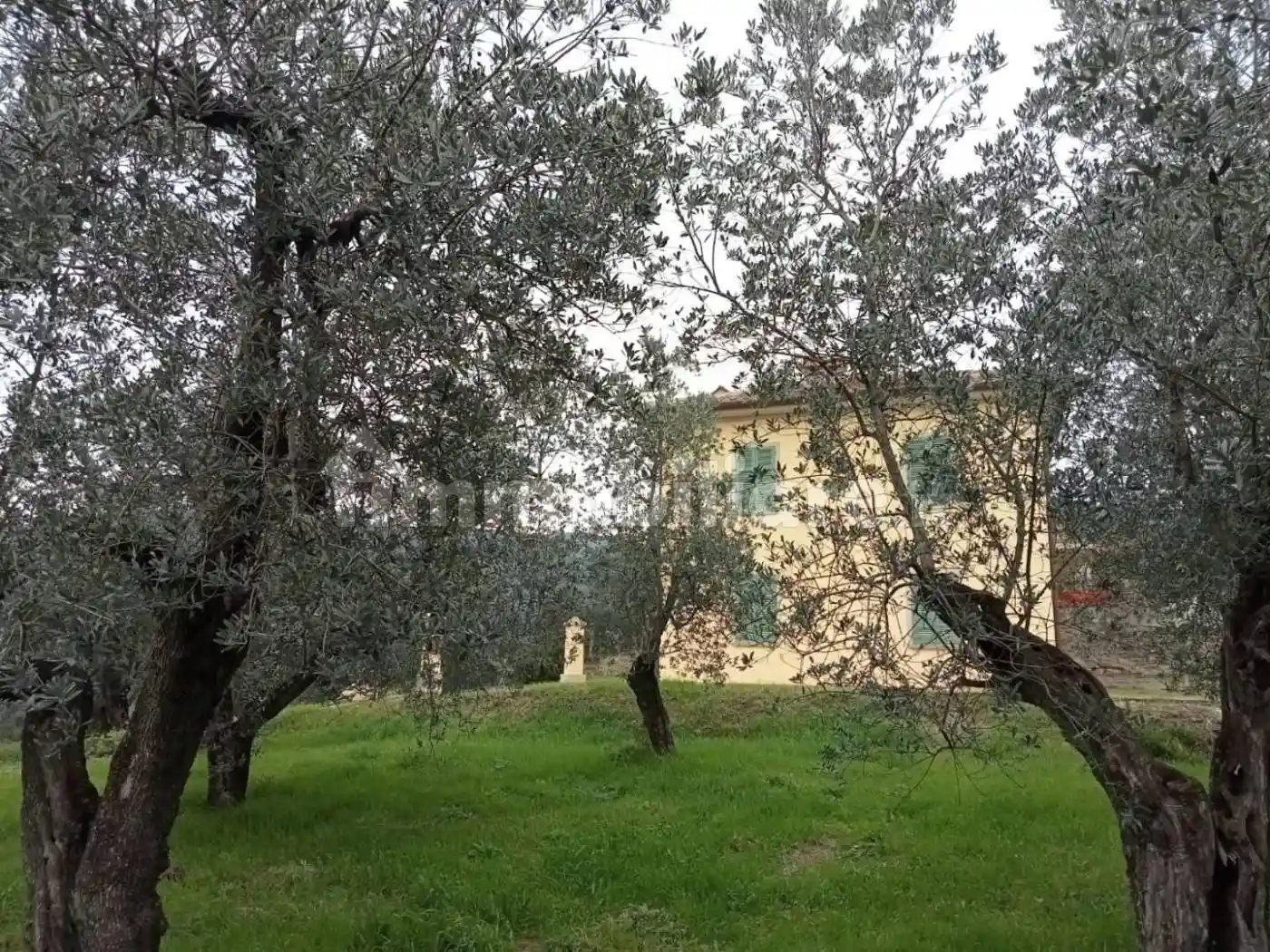 Rustico - Casale in vendita a Vinci