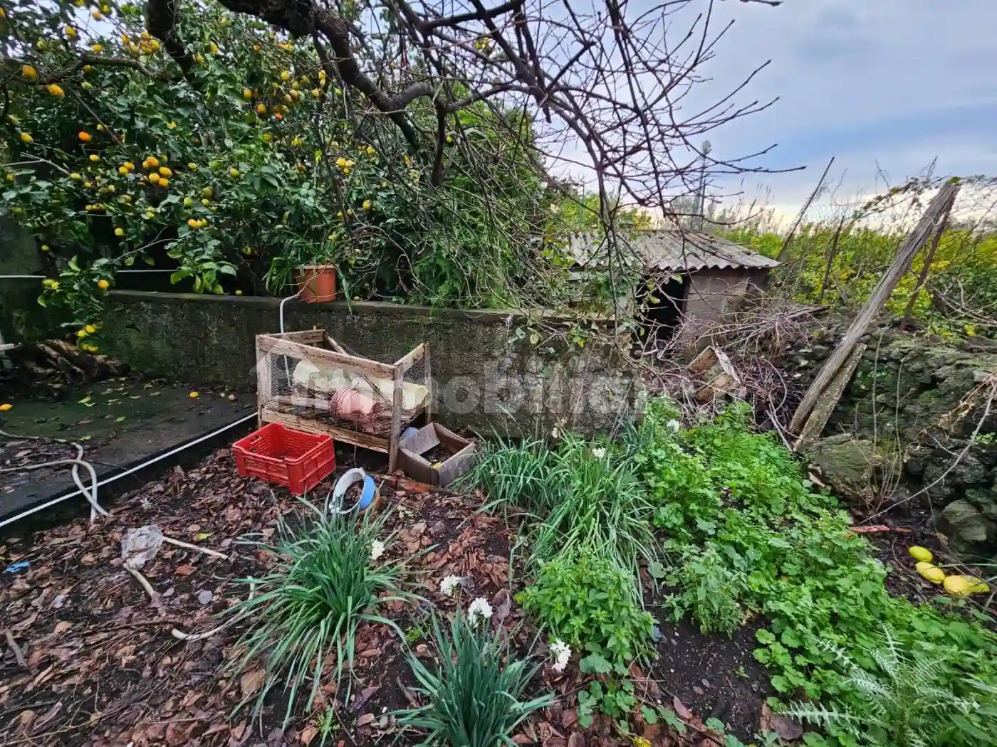 Rustico - Casale - foto 4