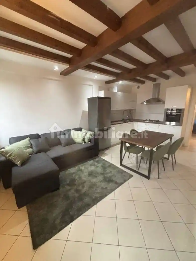 Appartamento in affitto a Novi di Modena