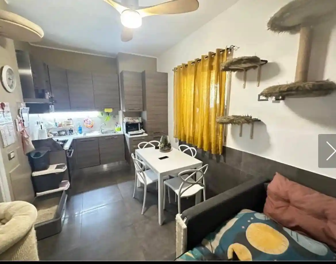 Appartamento in vendita a Carrara