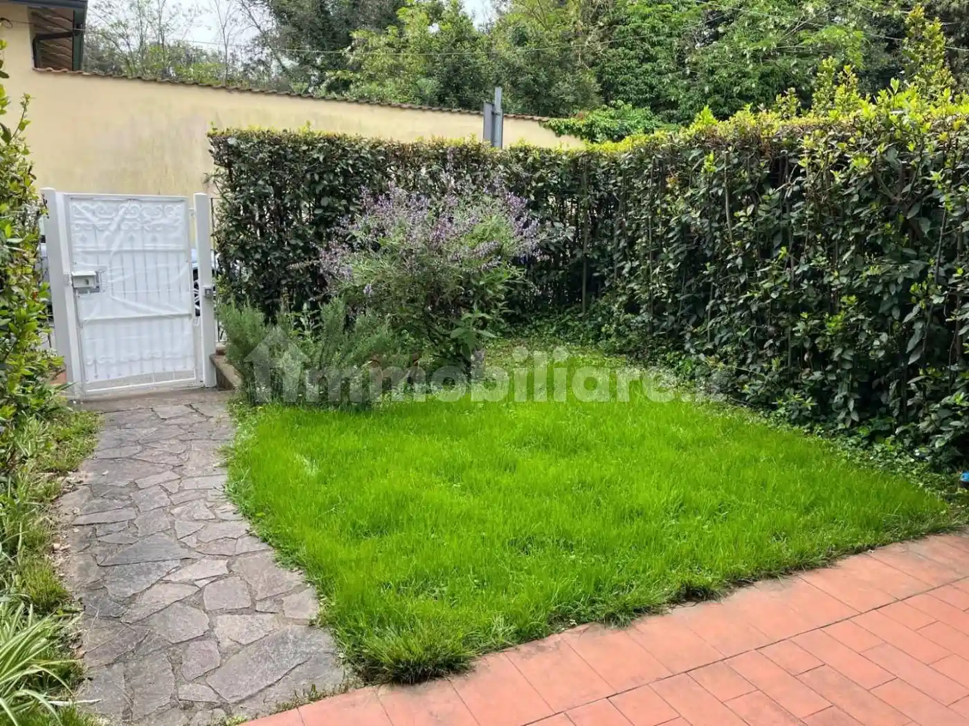 Appartamento in affitto a Massa