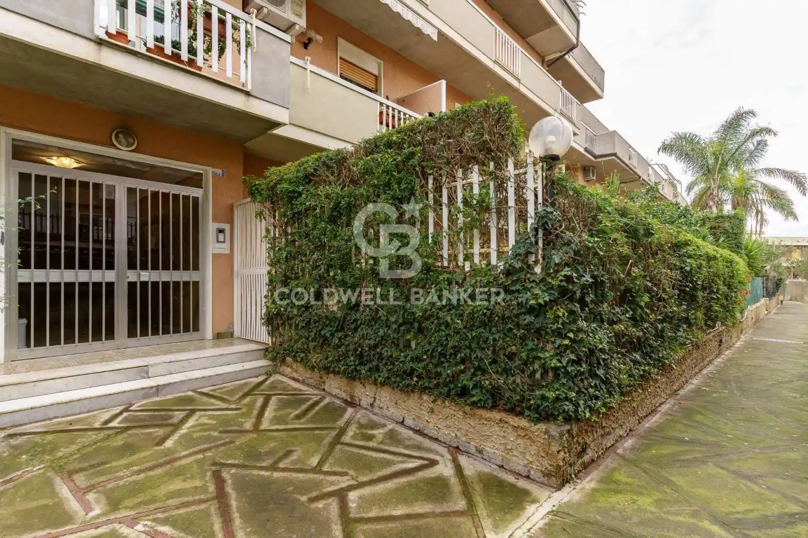 Appartamento in affitto a Catania