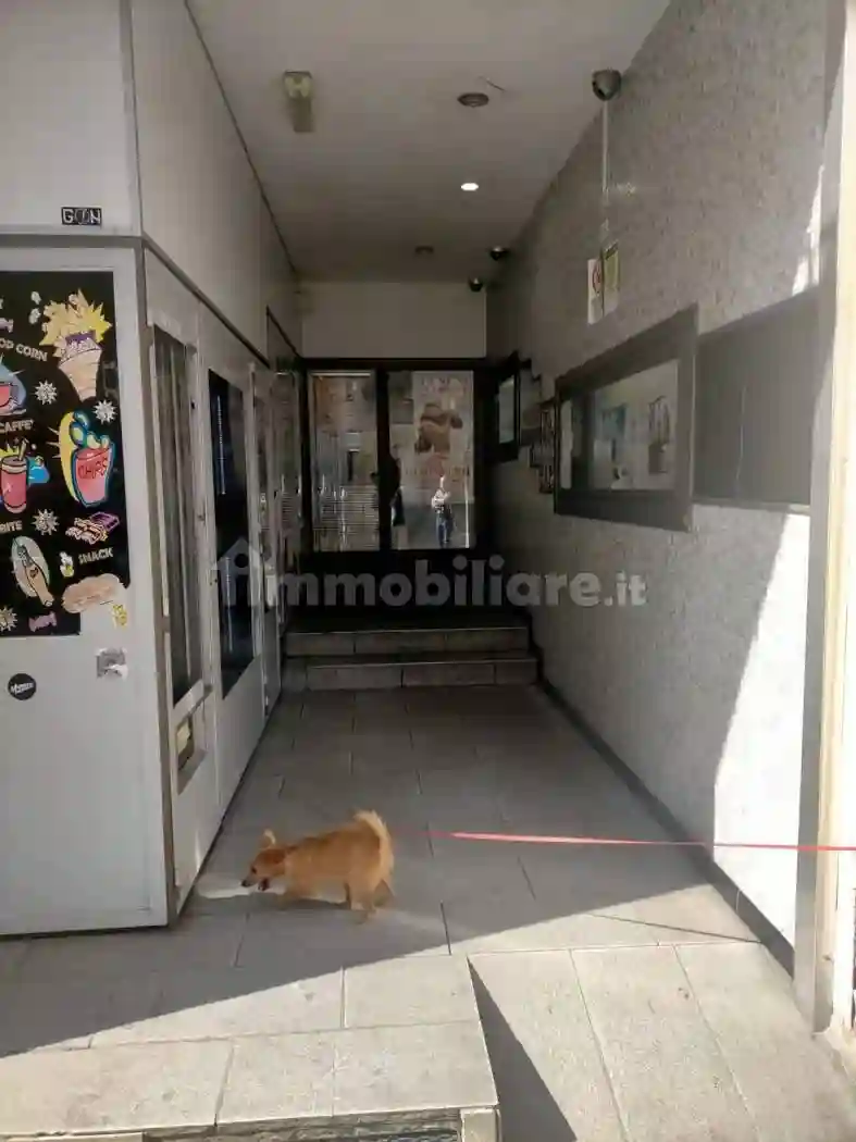 Palazzo - Edificio - foto 5