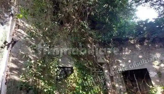 Palazzo - Stabile - foto 5