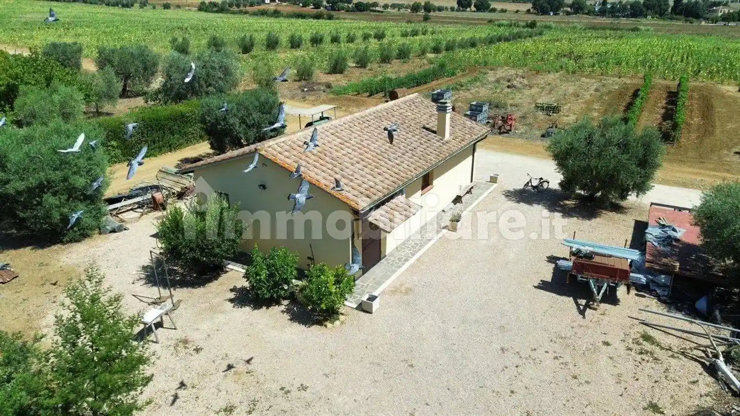 Rustico - Casale in vendita a Capalbio