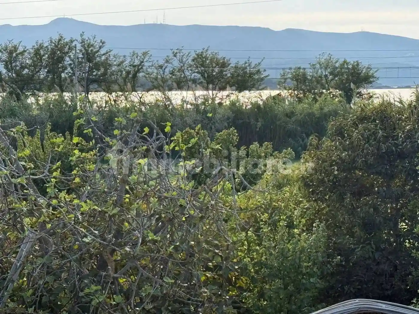Appartamento in vendita a Orbetello