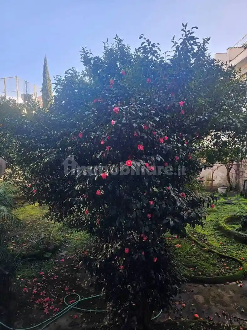 Appartamento in vendita a Nola