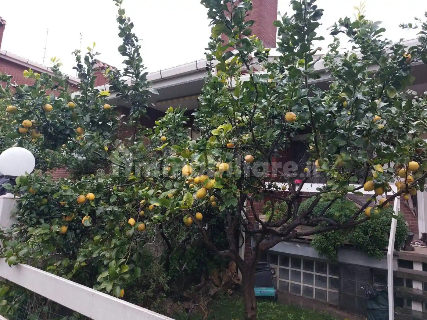 Villetta a schiera in affitto a Roma