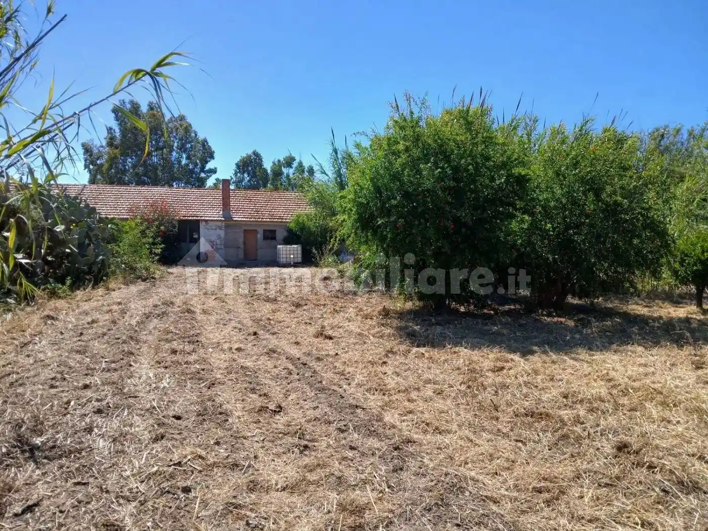 Rustico - Casale in vendita a Arborea