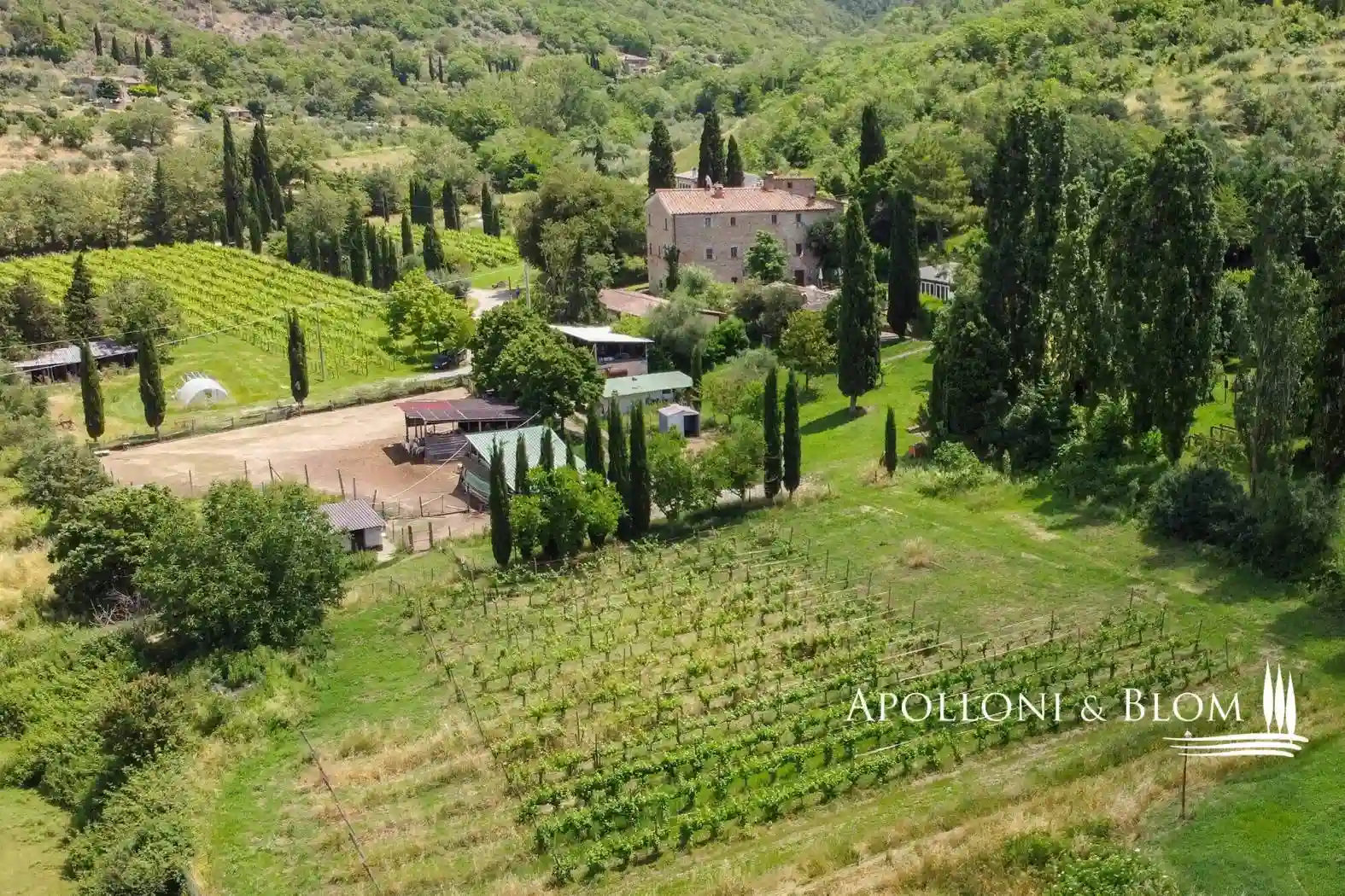 Rustico - Casale - foto 2