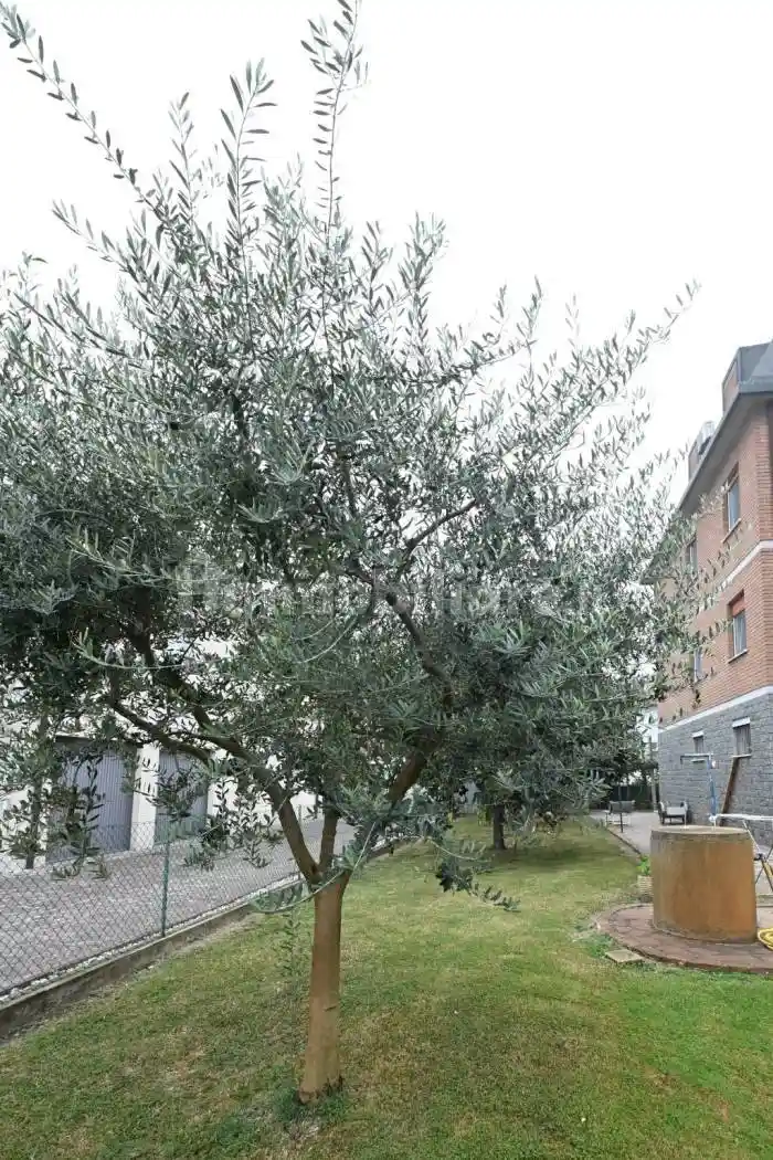 Villa in vendita a Campogalliano