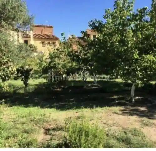 Villa in vendita a Isola del Giglio