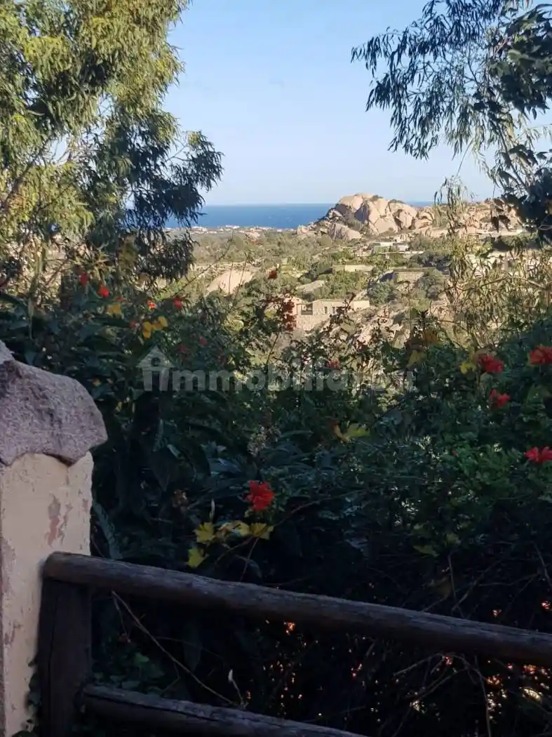 Appartamento in affitto a Arzachena