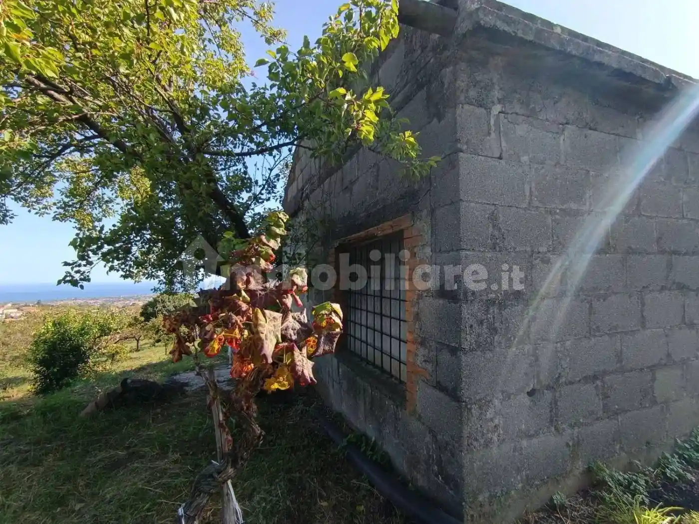 Rustico - Casale in vendita a Giarre