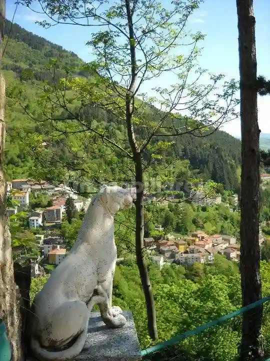 Palazzo - Edificio - foto 4