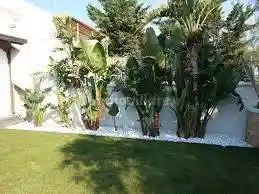 Appartamento in vendita a Padova