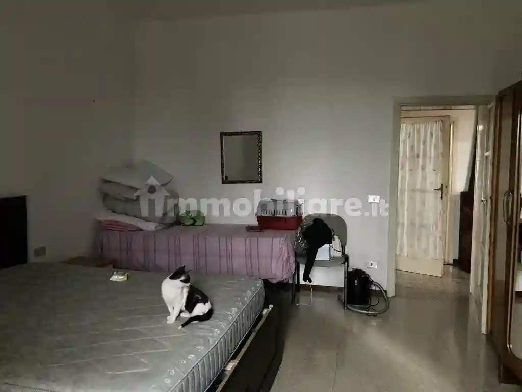 Palazzo - Stabile - foto 5