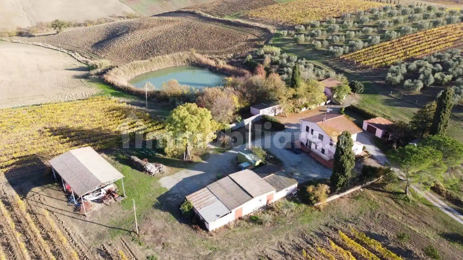 Rustico - Casale in vendita a Magliano in Toscana