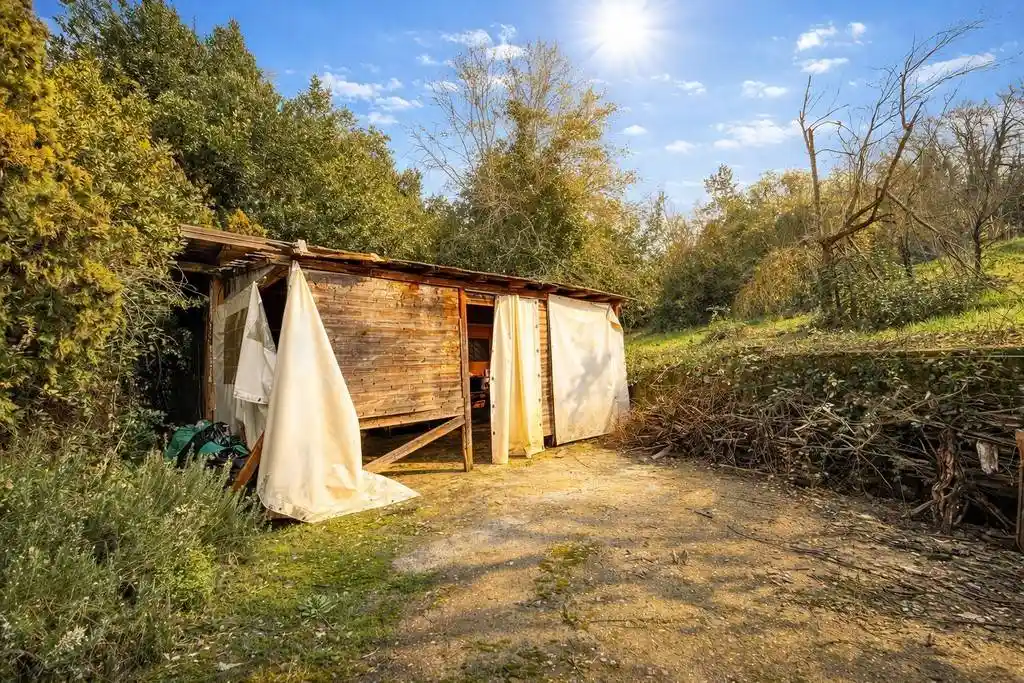 Rustico - Casale in vendita a Magliano Sabina