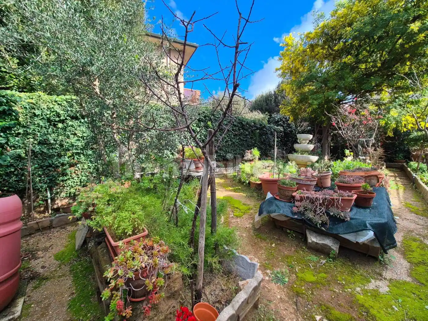 Appartamento in vendita a Campiglia Marittima