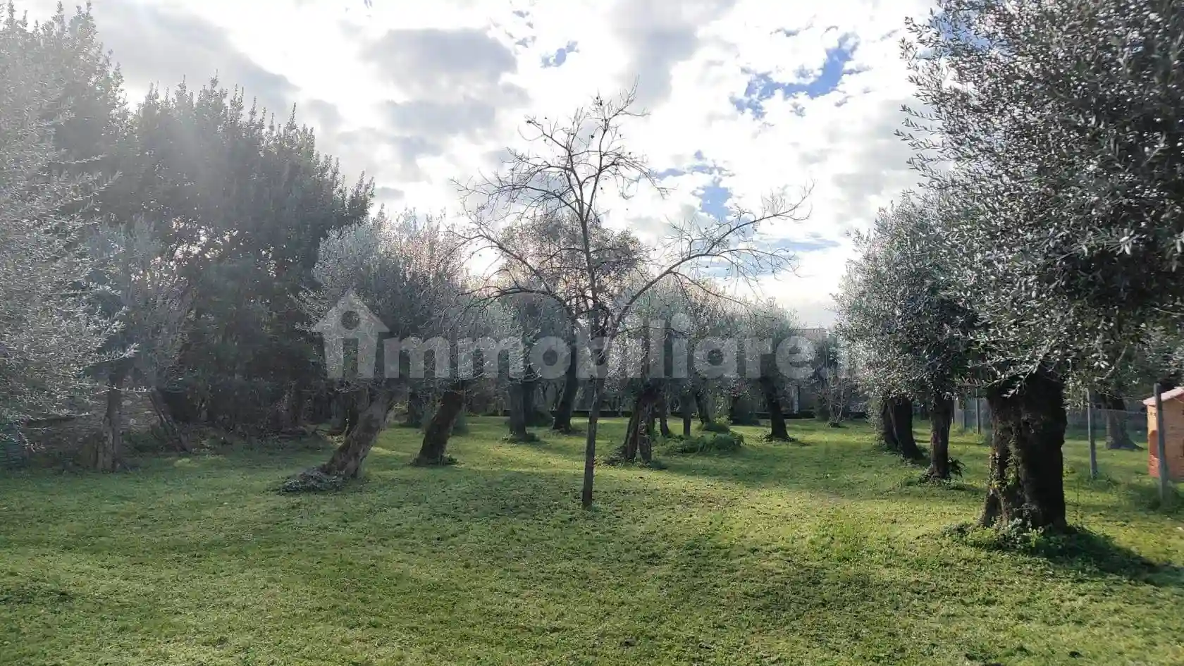 Palazzo - Edificio - foto 5